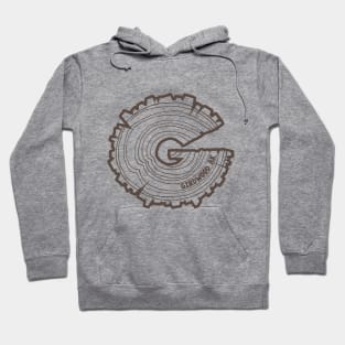 G-Wood Alaska Brown Hoodie